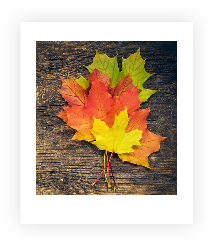 Image is not available